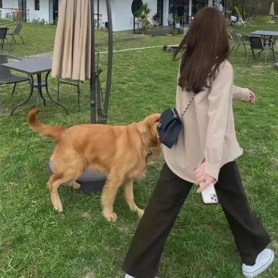 人的儿子